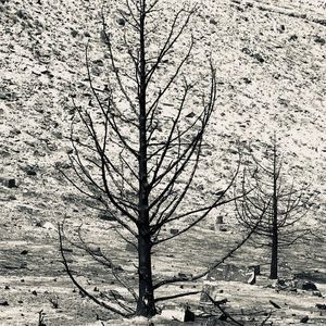 Meet your Posher, Katrina